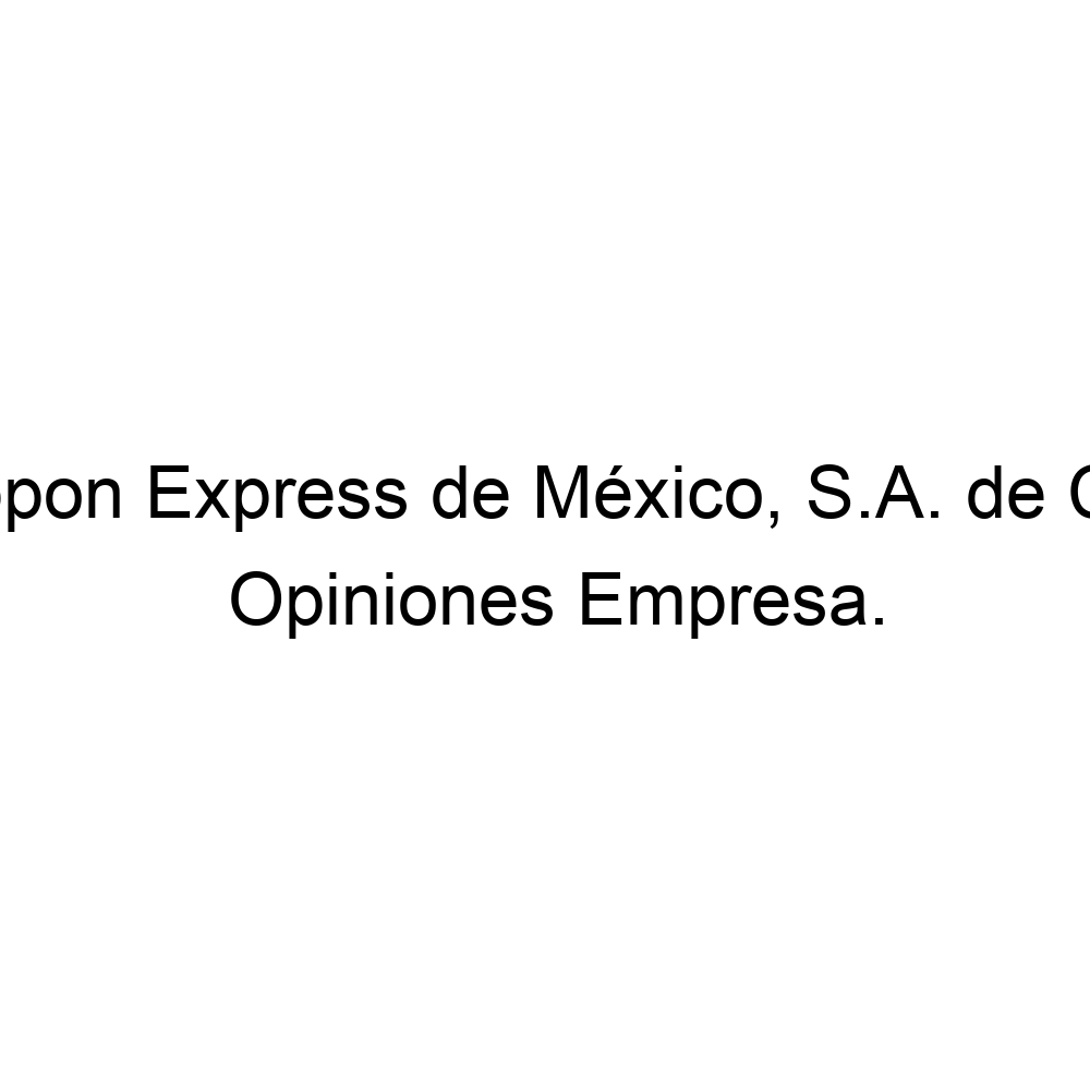 Opiniones Nippon Express de México, S.A. de C.V., 524651760070